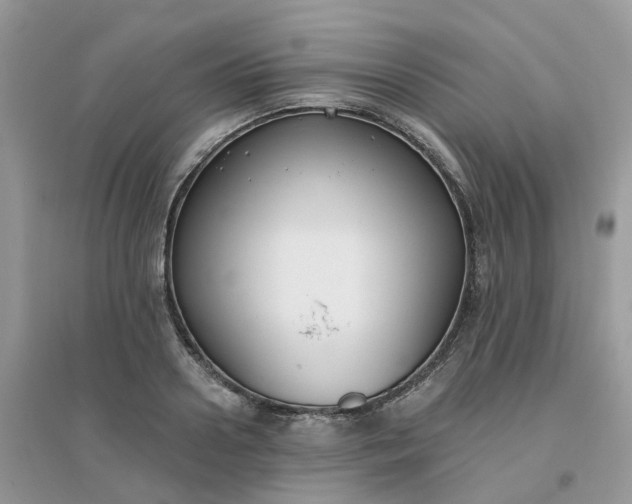 X0000096150938200802011229
