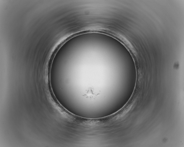 X0000096150939200802011230