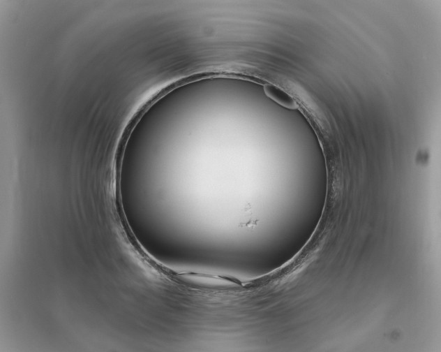 X0000096150940200802011230