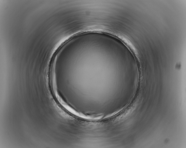 X0000096150941200802011230