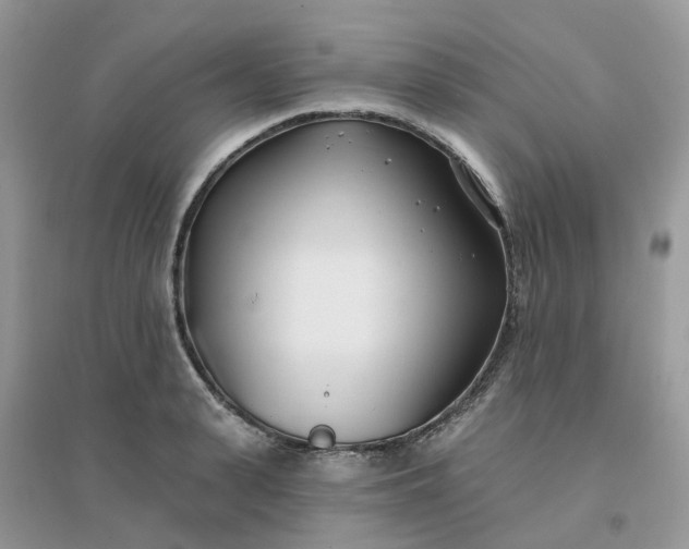 X0000096150943200802011230
