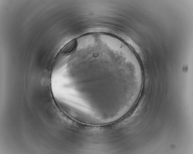 X0000096150945200802011230