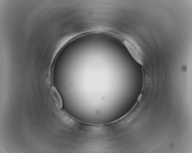 X0000096150948200802011230