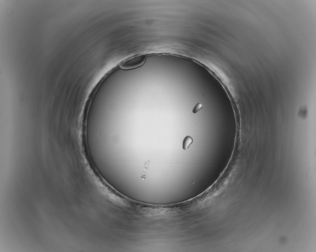 X0000096150949200802011230