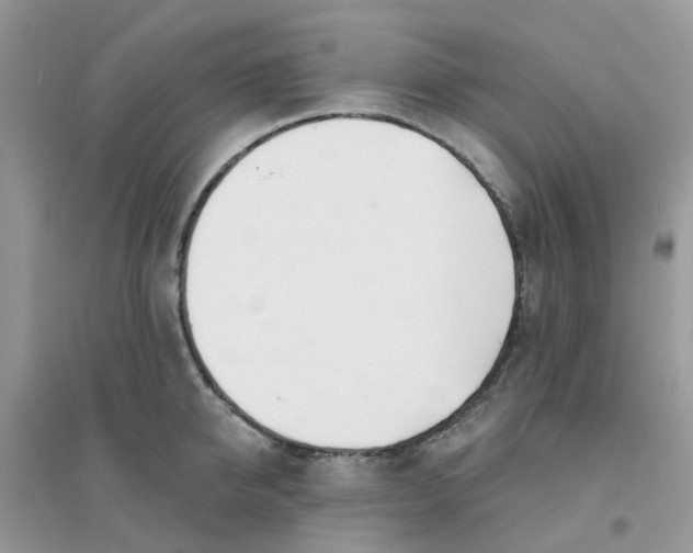 X0000096150950200802011230