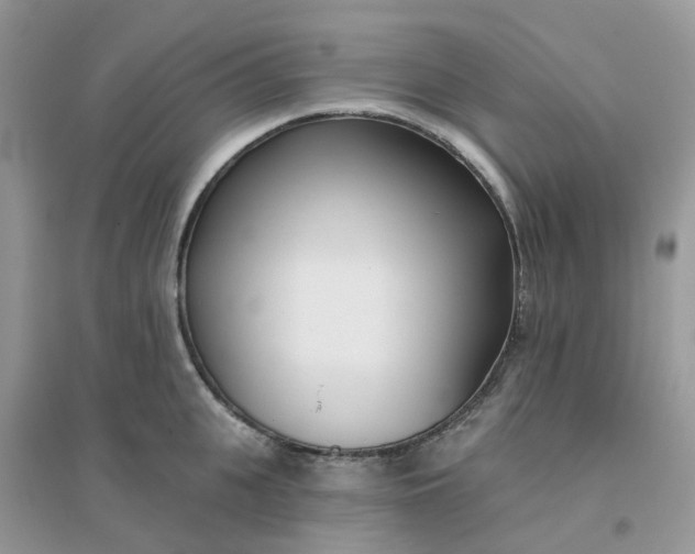 X0000096150951200802011230