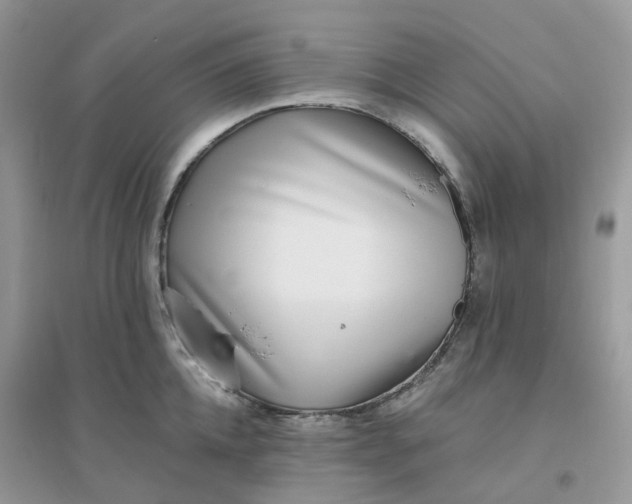 X0000096150952200802011230