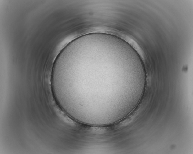X0000096150954200802011230