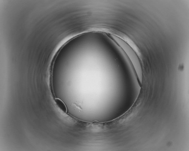 X0000096150955200802011230