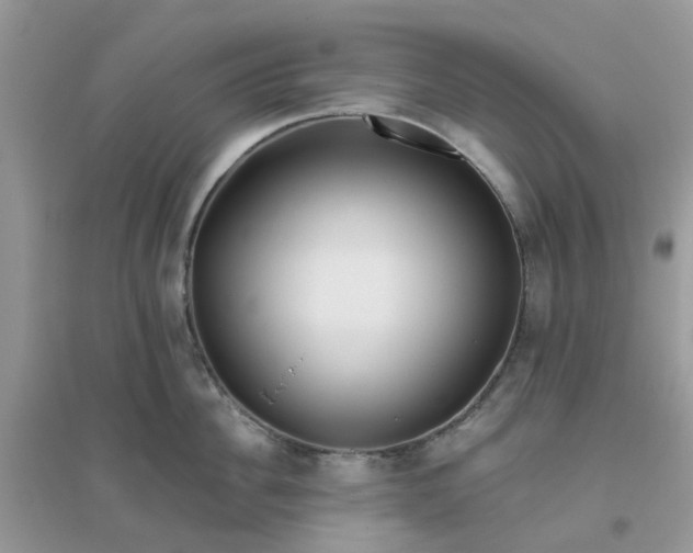 X0000096150956200802011230