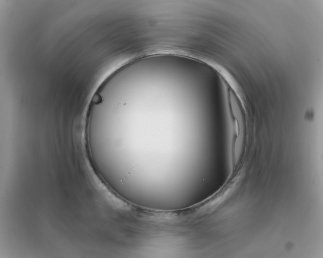 X0000096150957200802011230