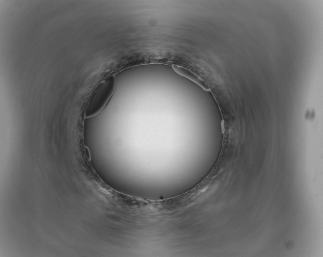 X0000096150961200802011229