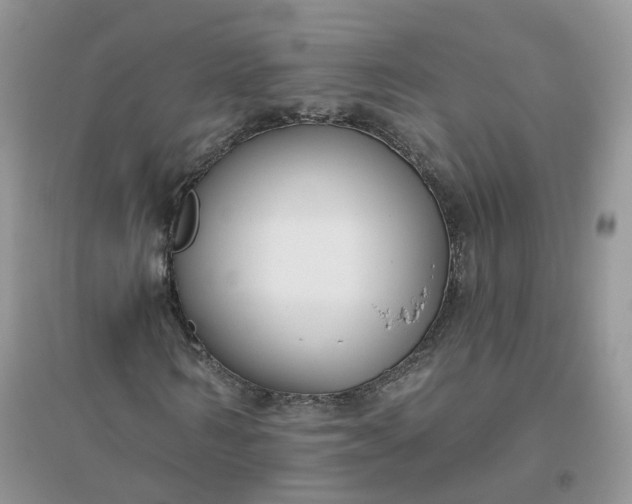 X0000096150962200802011229