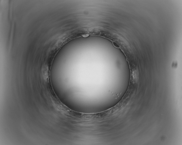 X0000096150963200802011229