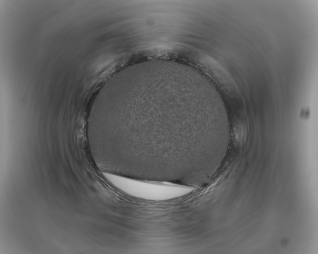 X0000096150964200802011229