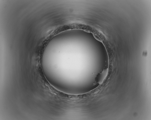 X0000096150965200802011229