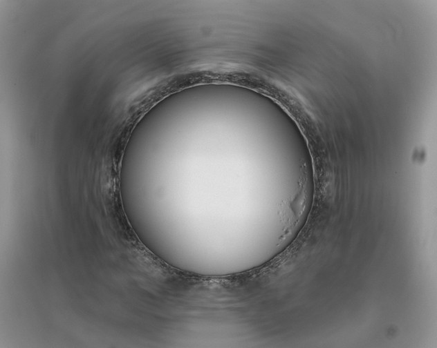 X0000096150966200802011229