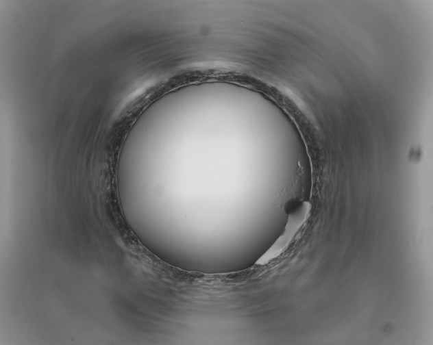 X0000096150967200802011229