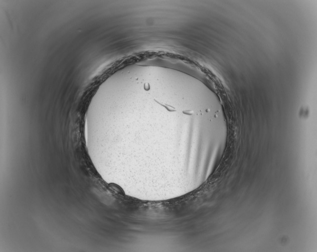 X0000096150968200802011229