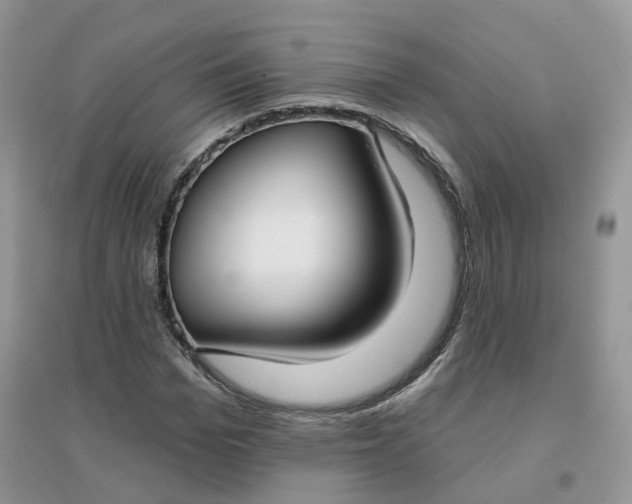 X0000096150969200802011229