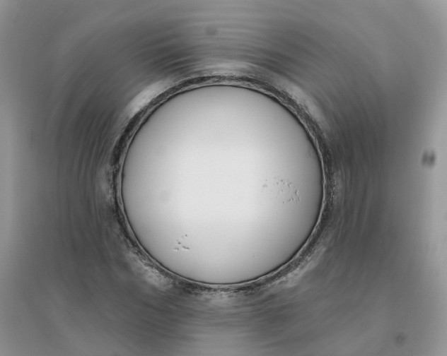 X0000096150970200802011229