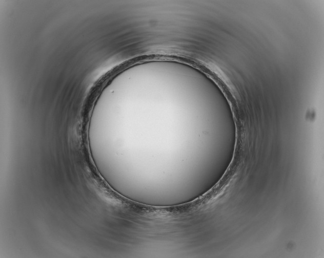 X0000096150971200802011229