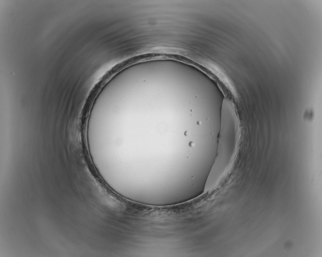 X0000096150972200802011229