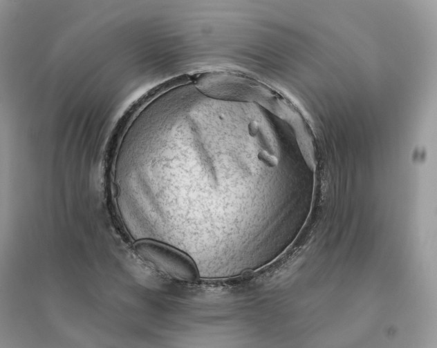 X0000096150975200802011229