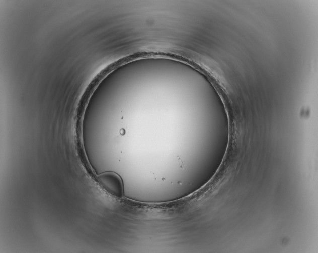 X0000096150976200802011229