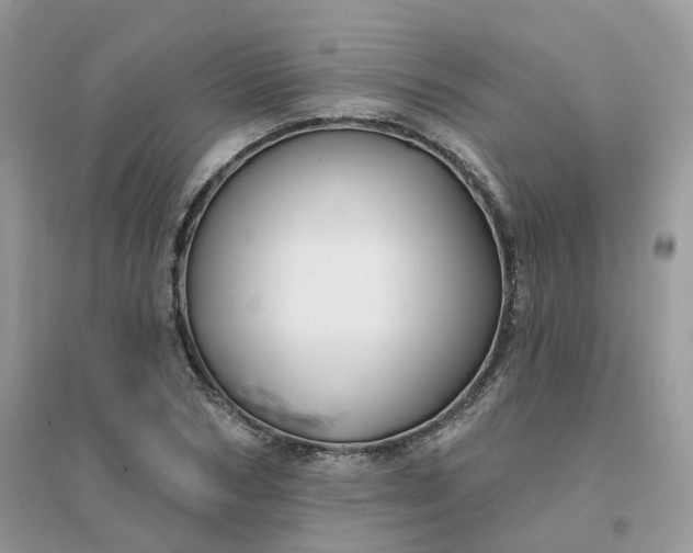 X0000096150978200802011229