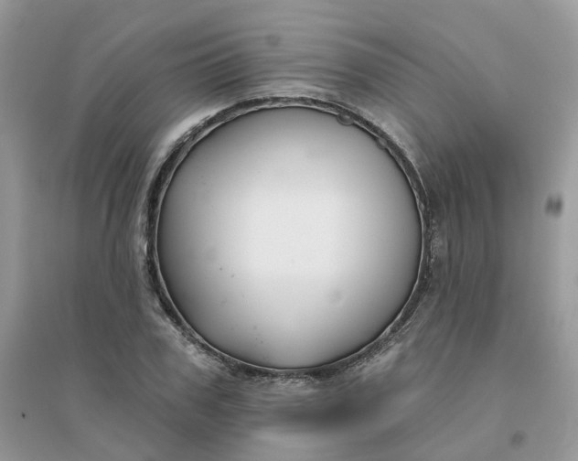 X0000096150979200802011229