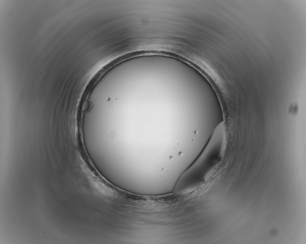 X0000096150980200802011229