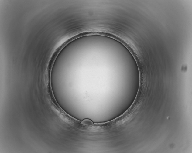 X0000096150982200802011229