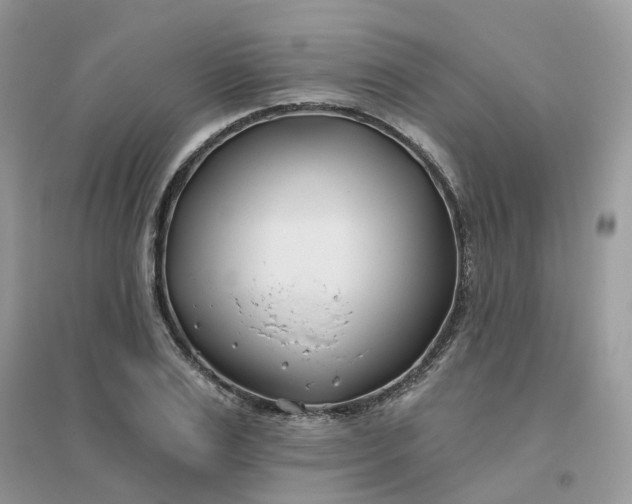 X0000096150983200802011229