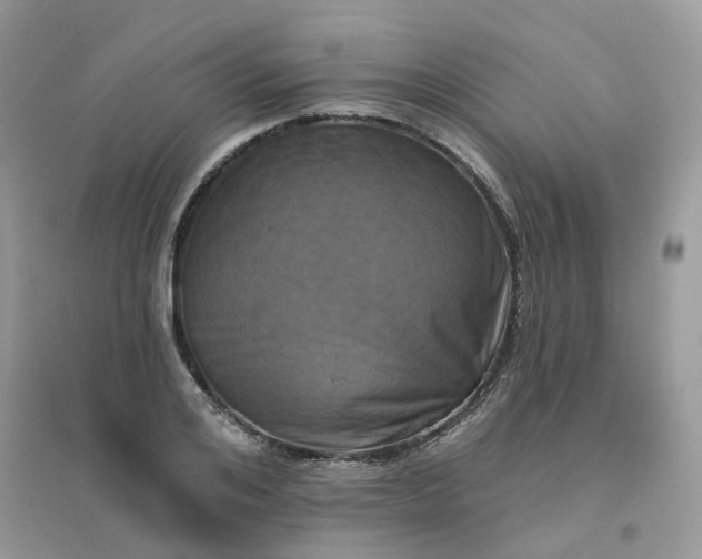X0000096150984200802011229