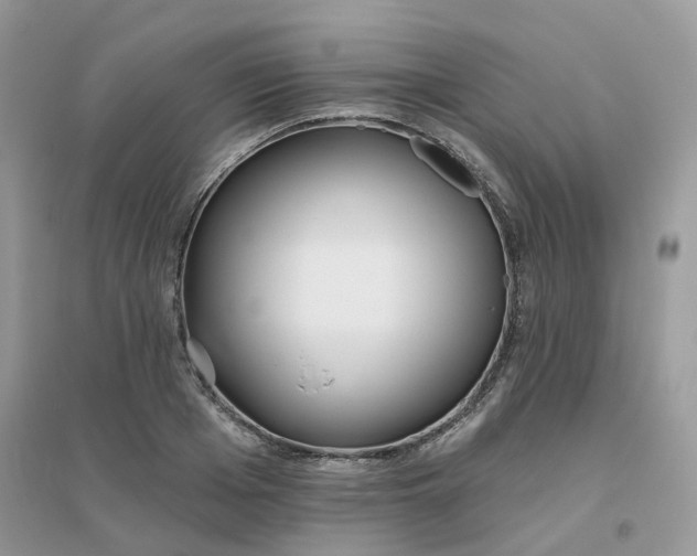 X0000096150985200802011229