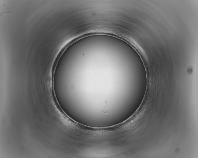X0000096150988200802011229