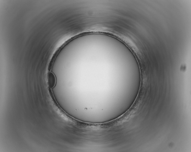 X0000096150990200802011229