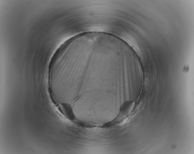 X0000096150992200802011229