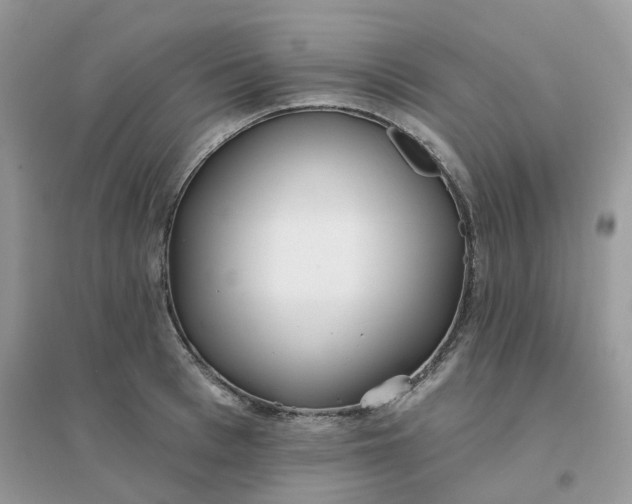 X0000096150993200802011229