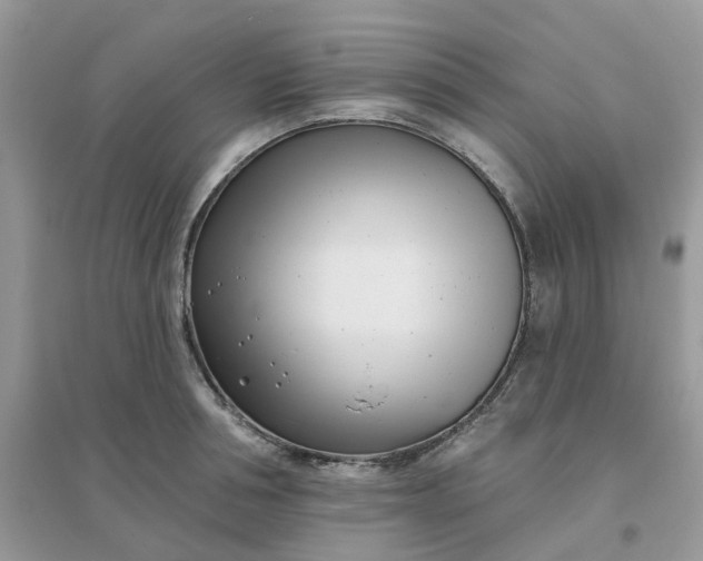 X0000096150994200802011229