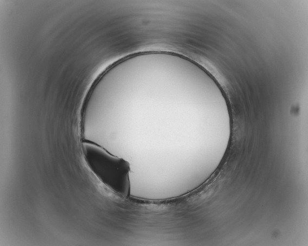 X0000096150996200802011229