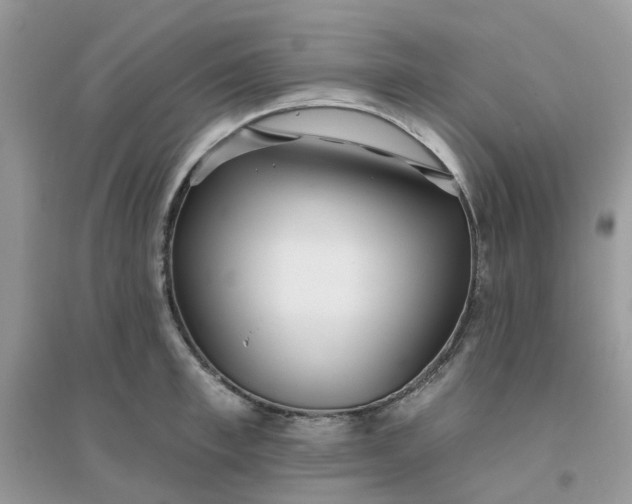 X0000096150997200802011229