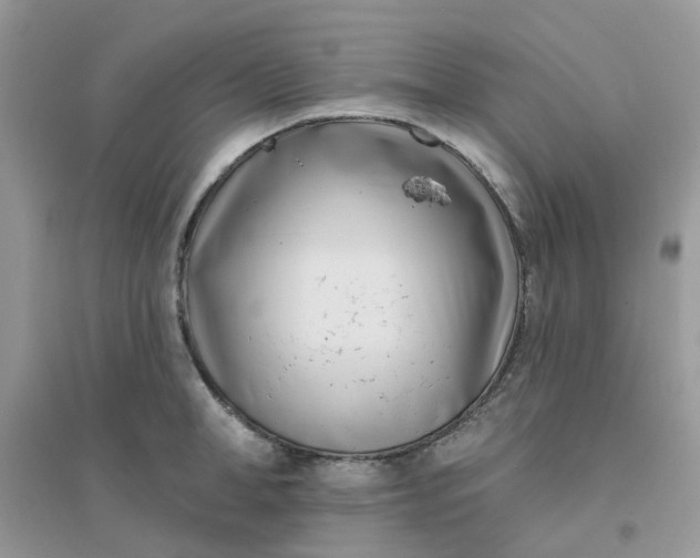 X0000096150998200802011229