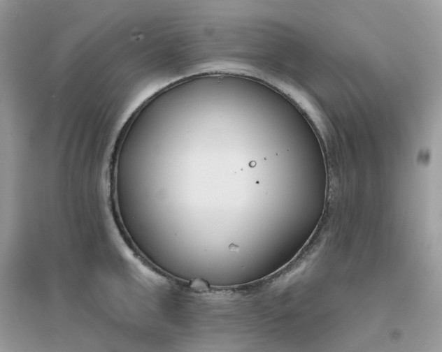 X0000096150999200802011229
