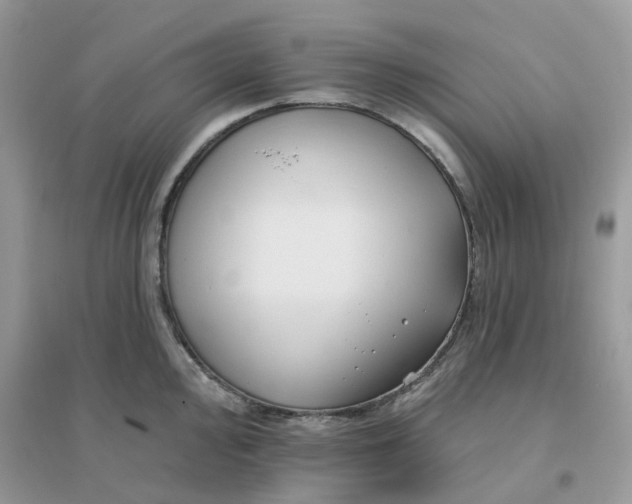 X0000096151000200802011229