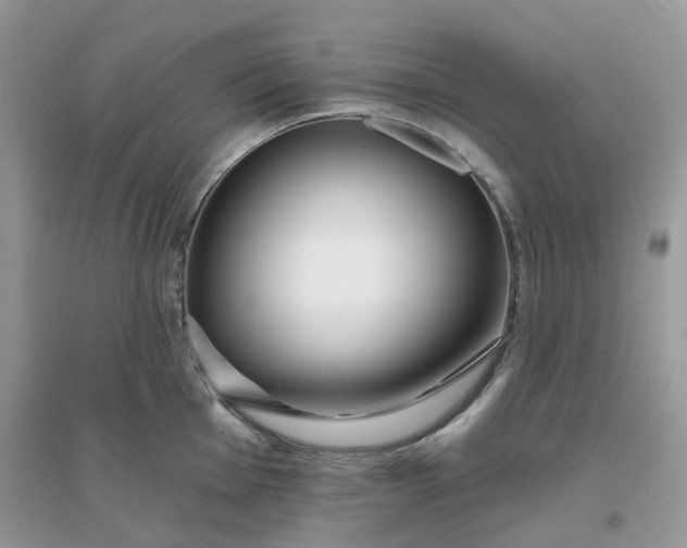 X0000096151001200802011229