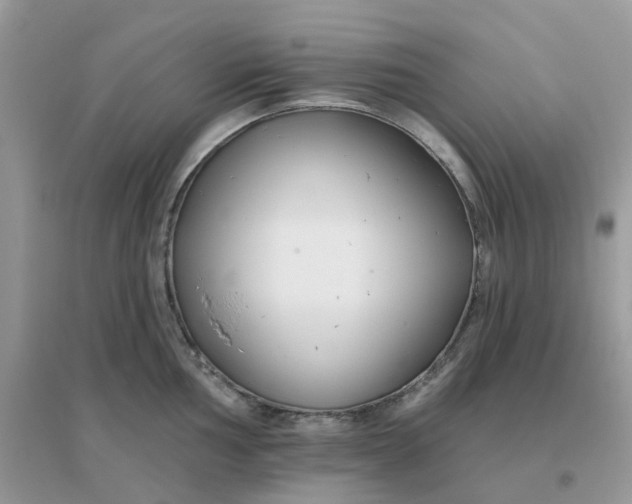 X0000096151002200802011229