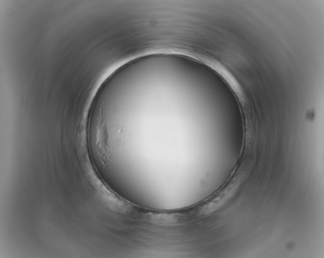 X0000096151004200802011229