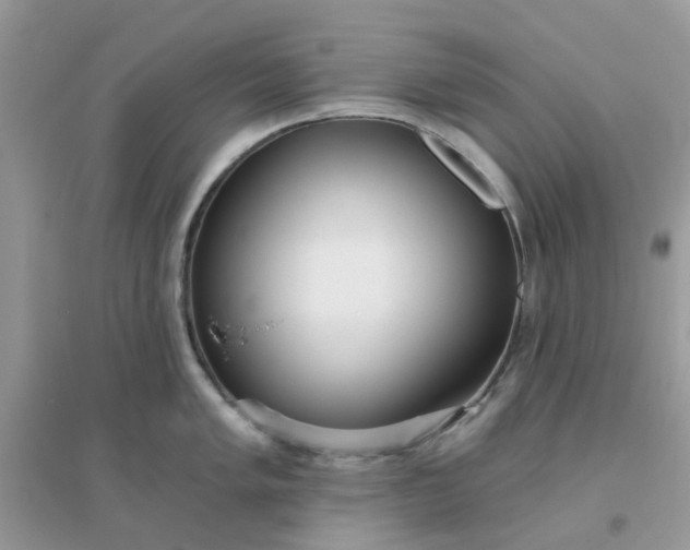 X0000096151005200802011229